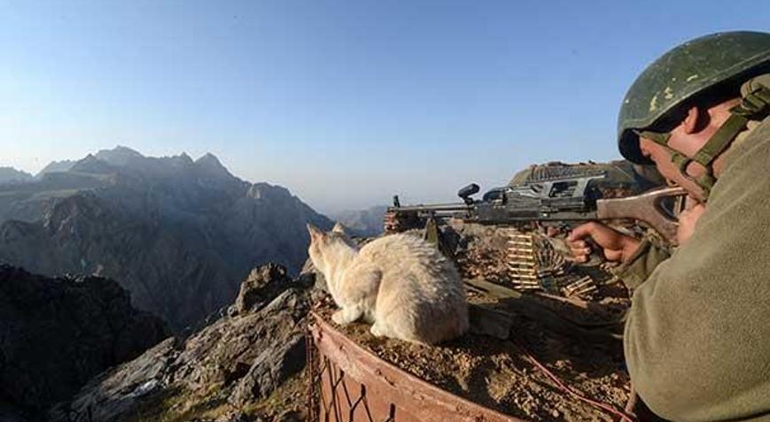 Mağarada bulunan kediler Mehmetçiğin can dostu oldu