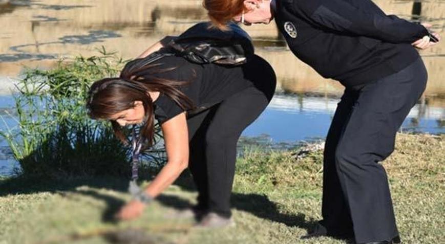 Antalya’da 13 kedinin ölümünde ‘satanizm’ iddiası
