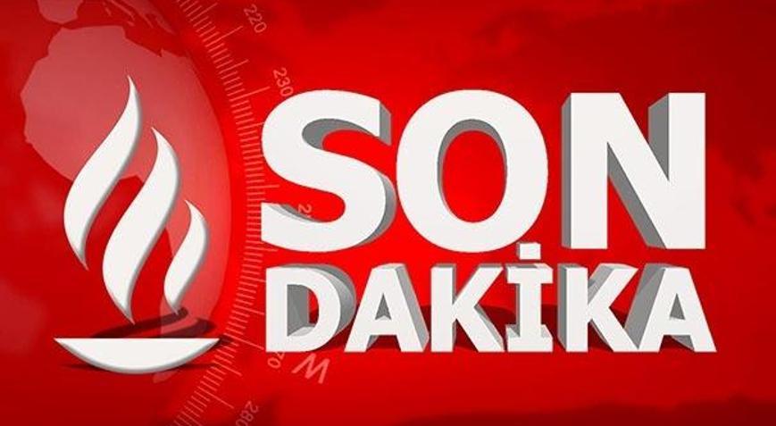 Son Dakika: BMGK Suriyede ateşkes kararını kabul etti