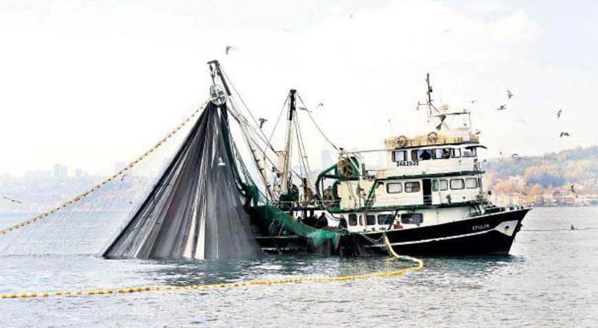 Bereketsiz sezonun nedeni: Aşırı avcılık