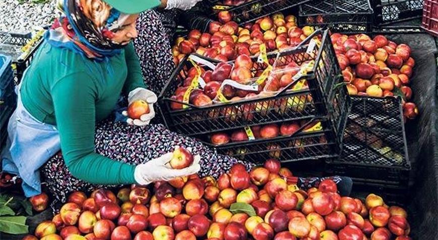 Mersin’de meyve hasadı mutluluğu