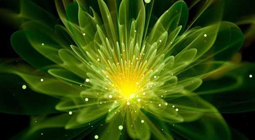 Bilim adamları ışık yayan bitki geliştirdi - Teknoloji Haberleri - Milliyet