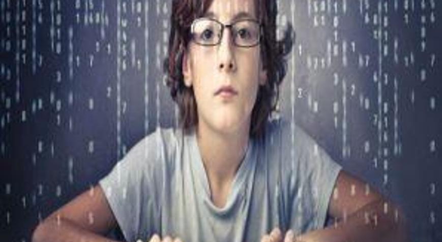 12 Yaşında Hükümetin Sitesini Çökertti