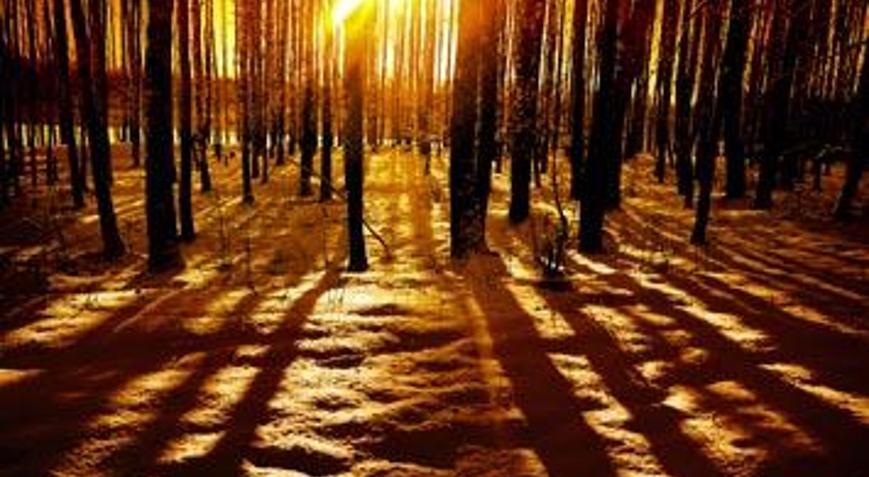 Kış güneşi intihara sürükleyebiliyor