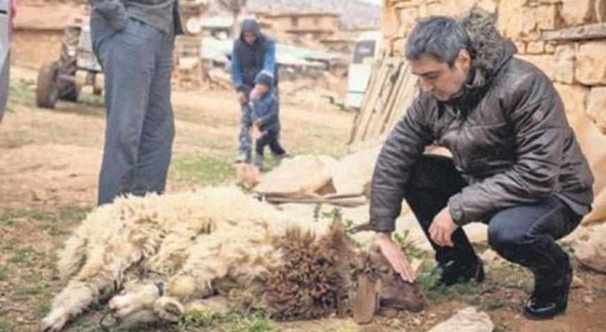 Necati Şaşmaz film için kurban kesti