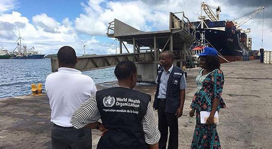 Yeni Kara Veba salgınının tedavisi yok