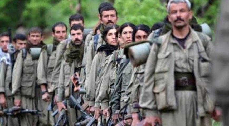 ABD'den çok kritik terör örgütü PKK açıklaması - Son Dakika Haberler  Milliyet