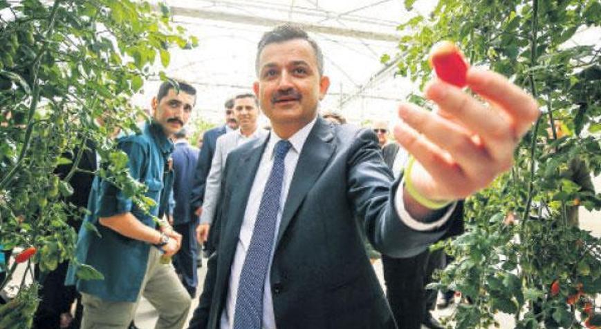 Profesyonel tesis ihracat için şart