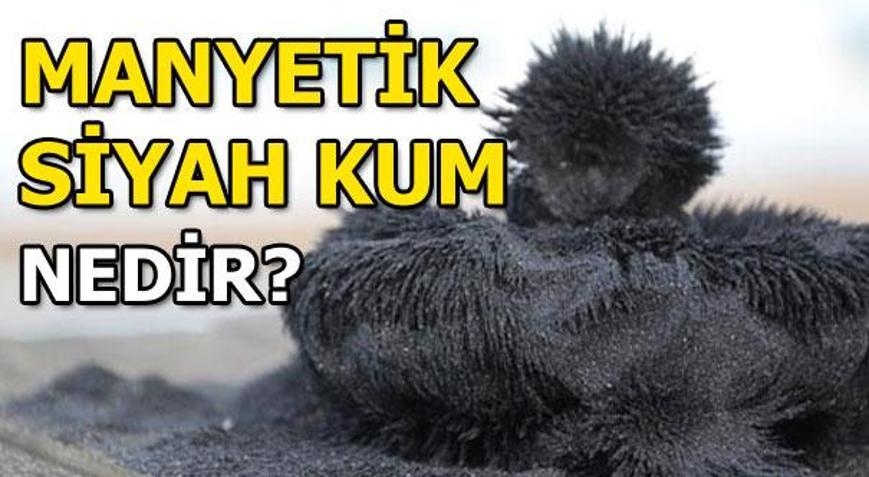 Manyetik siyah kum nedir