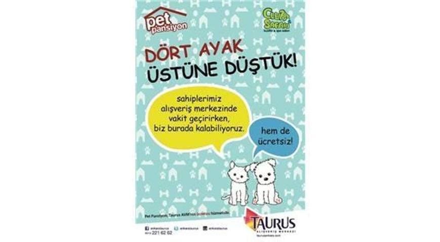 HAYVANSEVERLERE MÜJDELİ HABER