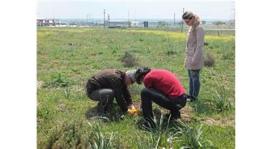 30 Fidan Dikip Uzlaştılar