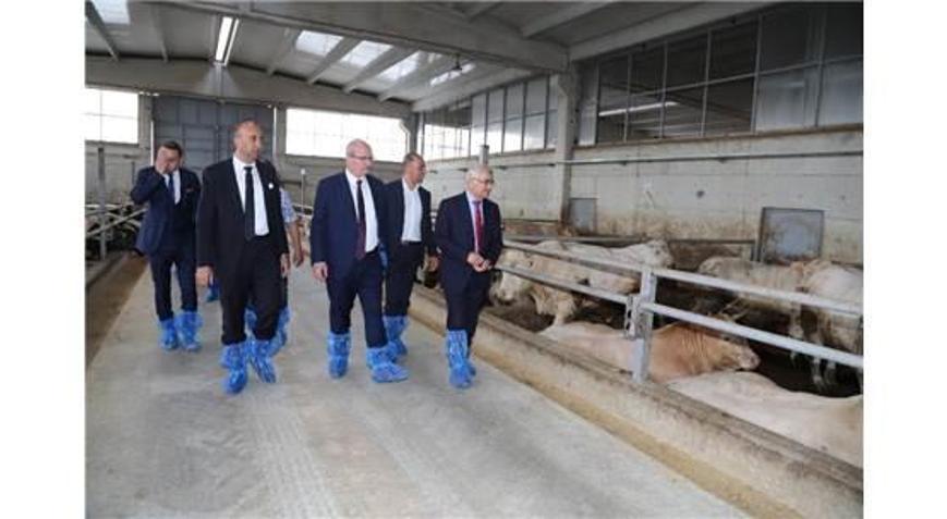 Ato Başkanı Baran Sincan Hayvancılık Bölgesini Ziyaret Etti