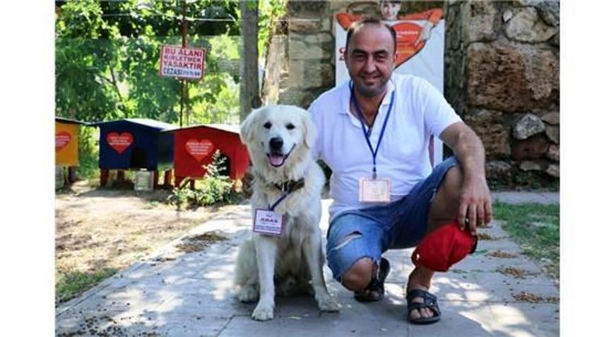 Turizm Elçisi Kedilerin Koruması Fenomen Köpek Aras
