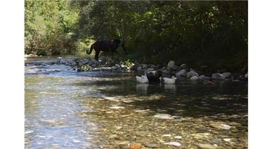 Kayaarası Kanyonuna Ziyaretçi Akını