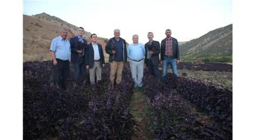 Tüba Üyeleri Arapgirde İncelemelerde Bulundu