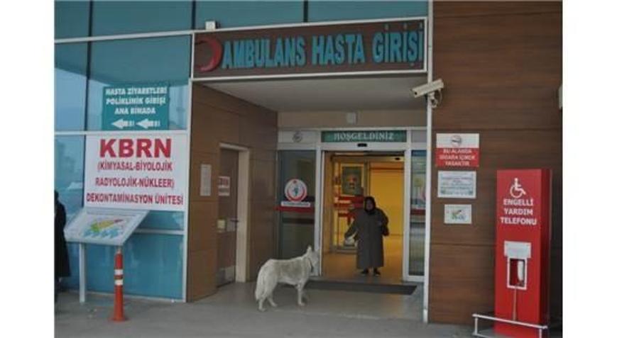 Sadık Köpek Acil Kapısında Sahibini Böyle Bekledi
