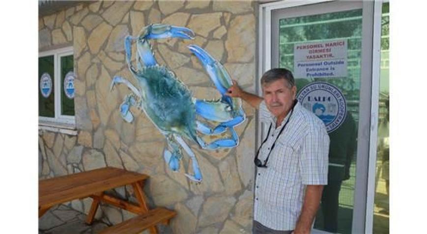 Dalko Altın Yılını Yaşıyor