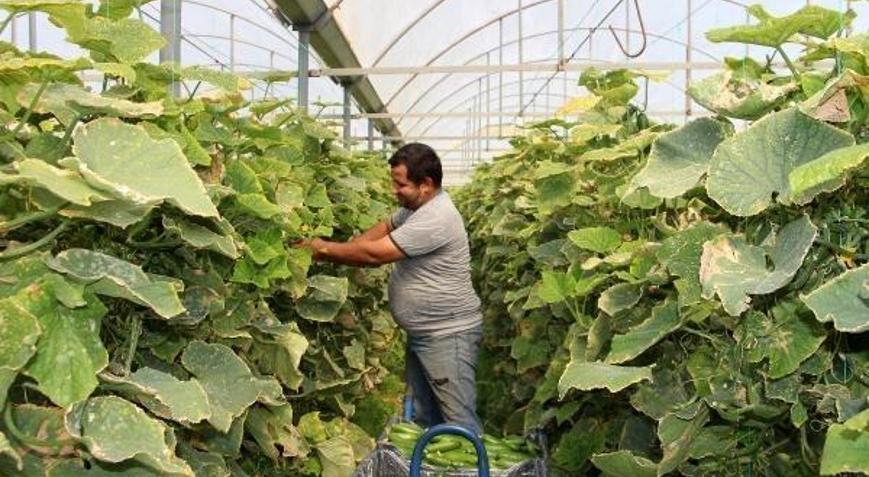 Seracılık köyün kaderini değiştirdi