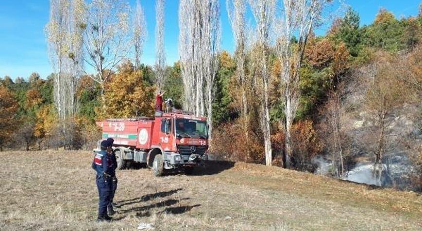 Orman yangını fidanlığa sıçramadan söndürüldü