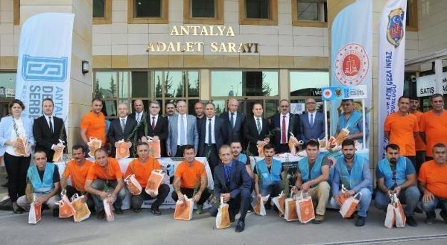 Adliyede 1111 fidan dağıtıldı