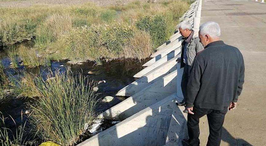 Köylüleri tedirgin eden olay