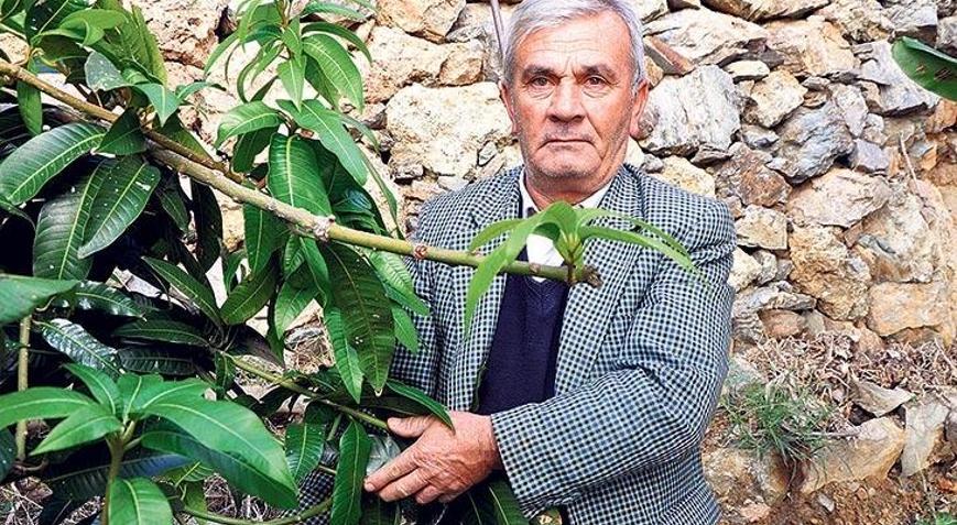 12 tane ağaç dikti  45 bin TL topladı