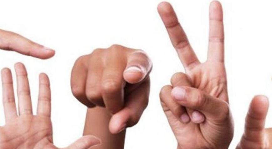 Bilgiye erişimde ‘Engelsiz Çeviri’