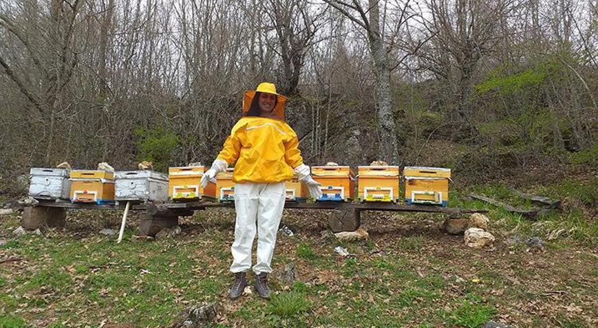 Meşe balı mucizesi