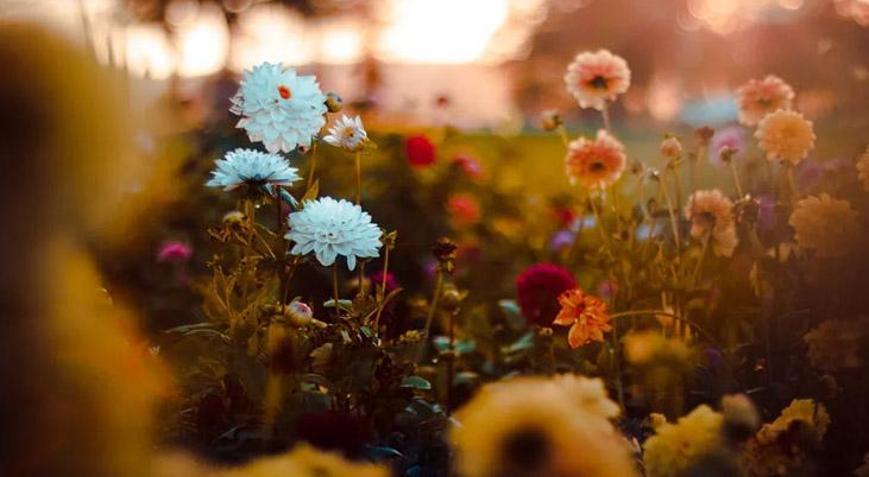 Baharın müjdeleyicisi Cemre düştü mü İkinci cemre ne zaman düşecek