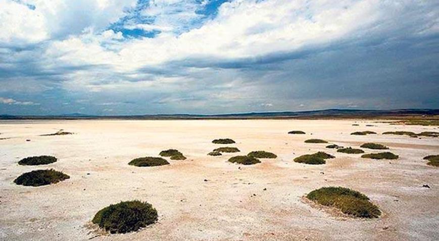 Göllerin yüzde 60’ı kurudu