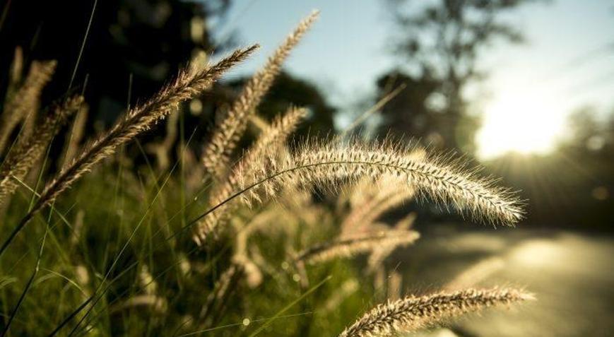 Cemre nedir Cemre düştü mü, Cemre havaya, suya, toprağa ne zaman düşer 2022
