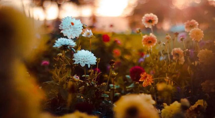 Üçüncü cemre düştü mü, ne zaman düşecek Baharın müjdeleyicisi Cemre düşme tarihleri