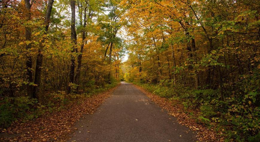 Çocuklar ile Gezilecek Yerler - İstanbulda çocuklar ile birlikte gezilecek yerlerin listesi