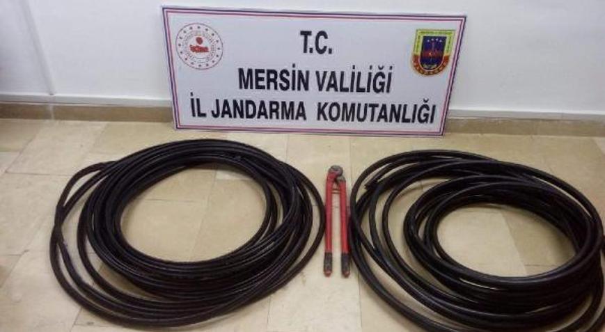 Mersinde çaldılar, Adanada tutuklandılar