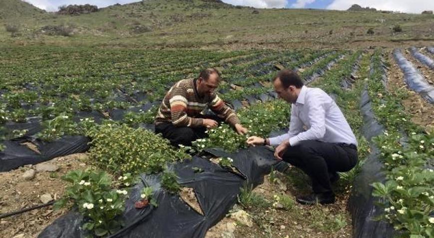 Kaymakam Sarıdoğan, çiftçilerle bir araya geldi