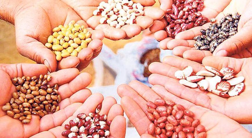 ‘Salgın gıda milliyetçiliği yarattı’