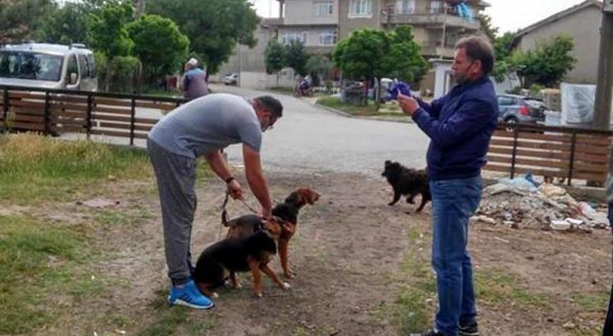 Babaeskide sahipli kedi ve köpeklere kuduz aşısı yapıldı