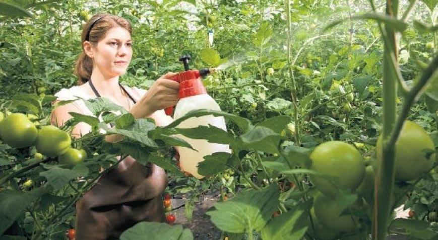 16 tarım ilacına kademeli yasak - Haberler Milliyet
