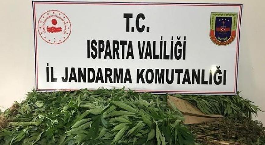 Jandarmadan uyuşturucu operasyonu