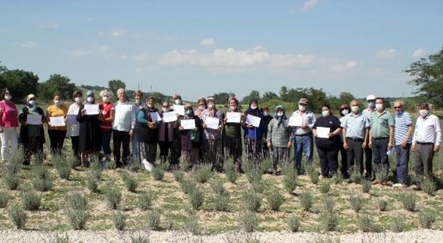 Köylü kadınlara, lavanta ekim belgesi