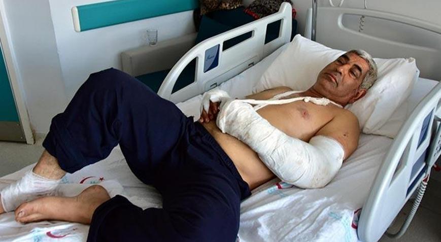 Pitbulların saldırısına uğradı Bugün benim sonum, kesin beni öldürecekler