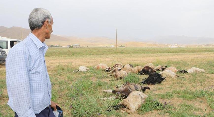 Yüksekovada yıldırımlar can aldı 1 kişi öldü, 19 koyun telef oldu