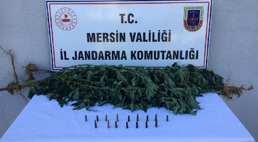 Yasa dışı ekime gözaltı