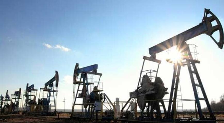 2 şirkete petrol arama ruhsatı verildi