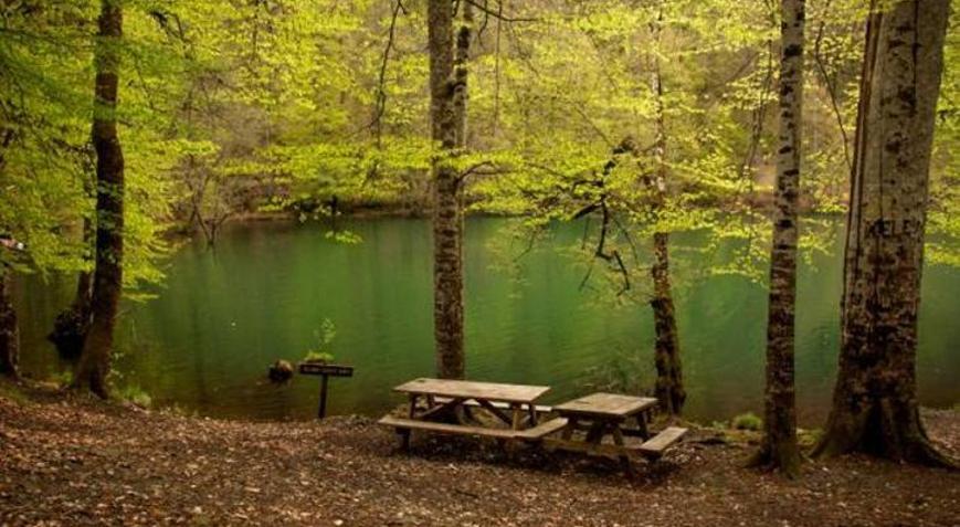 Yedigöller Milli Parkı Bolu İlinde Nerededir, Nasıl Gidilir? Giriş Ücreti Ve Özellikleri - Tatil Seyahat Haberleri