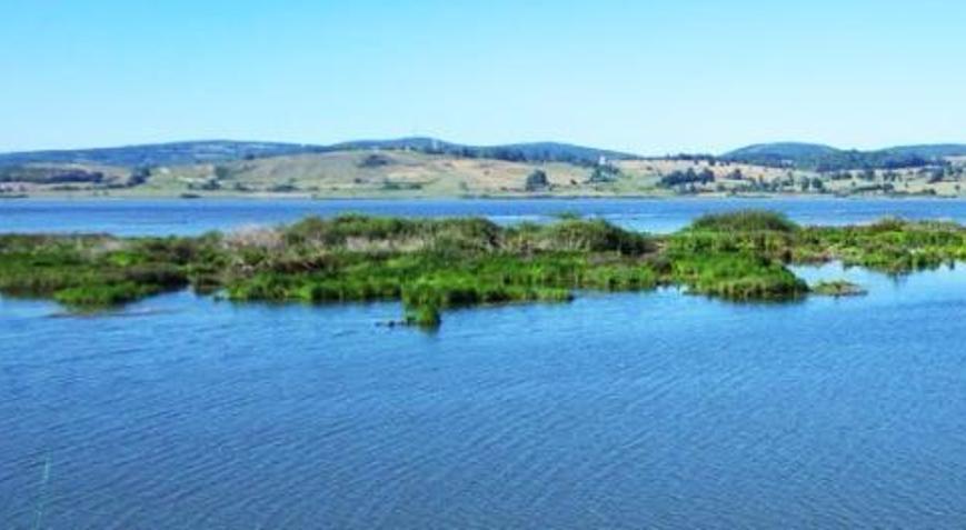 Ladik Gölü Samsun İlinde Nerede? Gölün Özellikleri, Oluşumu Ve Tarihçesi - Tatil Seyahat Haberleri