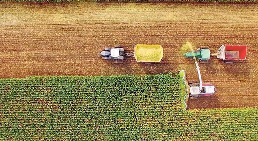 O tarım ilacına yasak getirildi