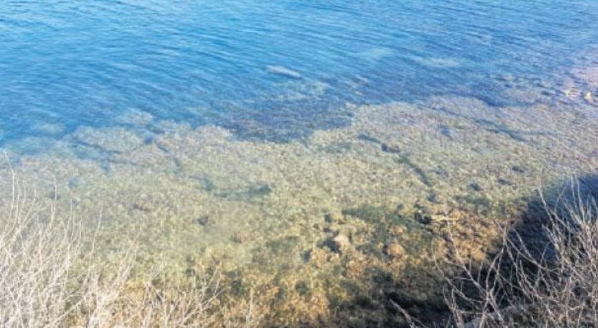 Antik Didim’in limanı bulundu