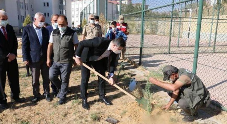 Çelikhanda fidan dikimi etkinliği