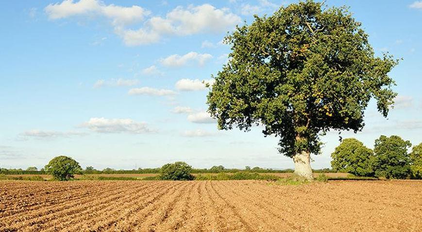Arsa Kredisi veren bankalar | Ziraat - Halkbank - Vakıfbank ve diğer bankalardan arsa kredisi nasıl alınır İşte en uygun faiz oranları ve hesaplama yöntemleri